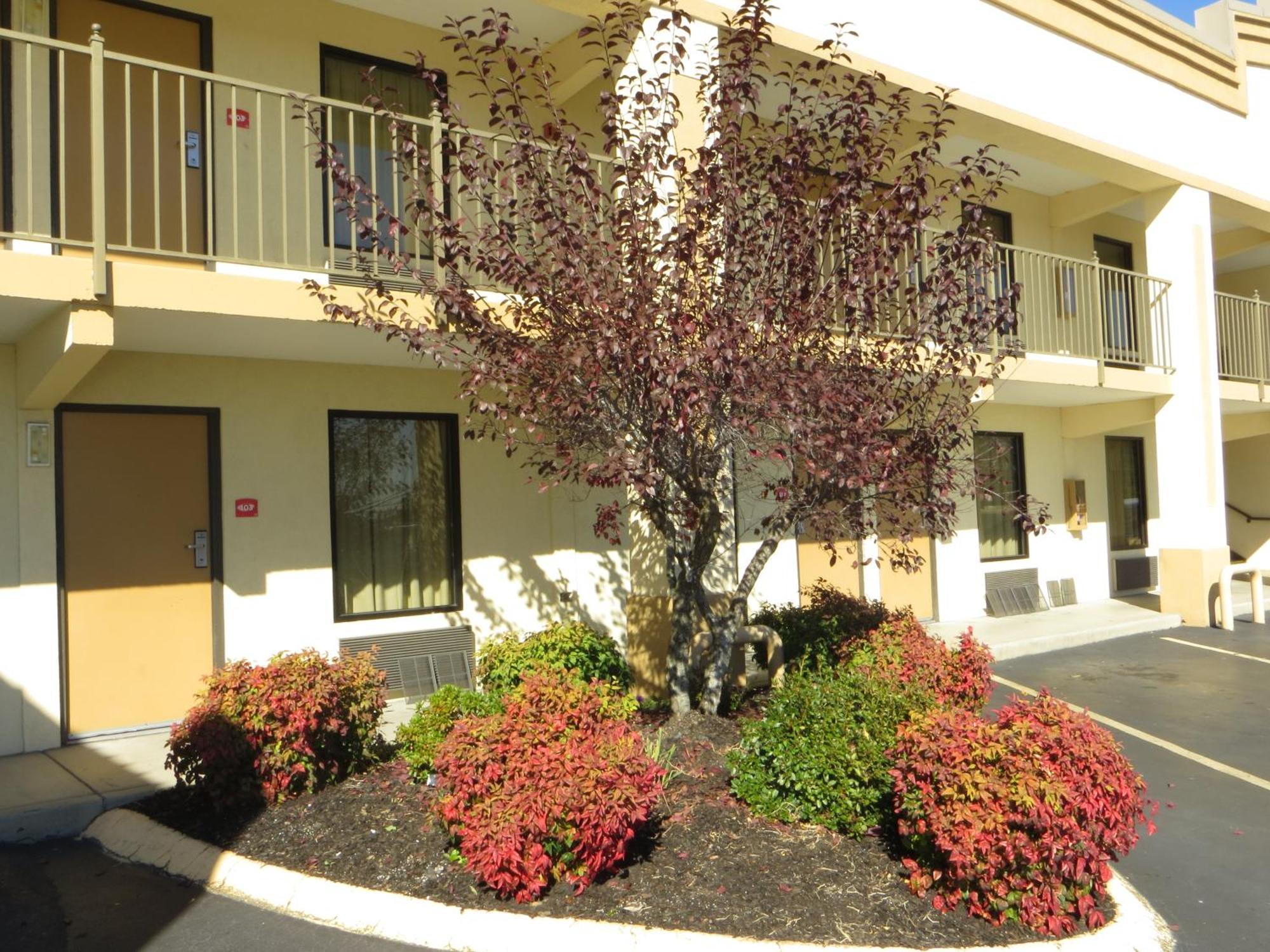 Econo Lodge Lenoir City Exteriér fotografie
